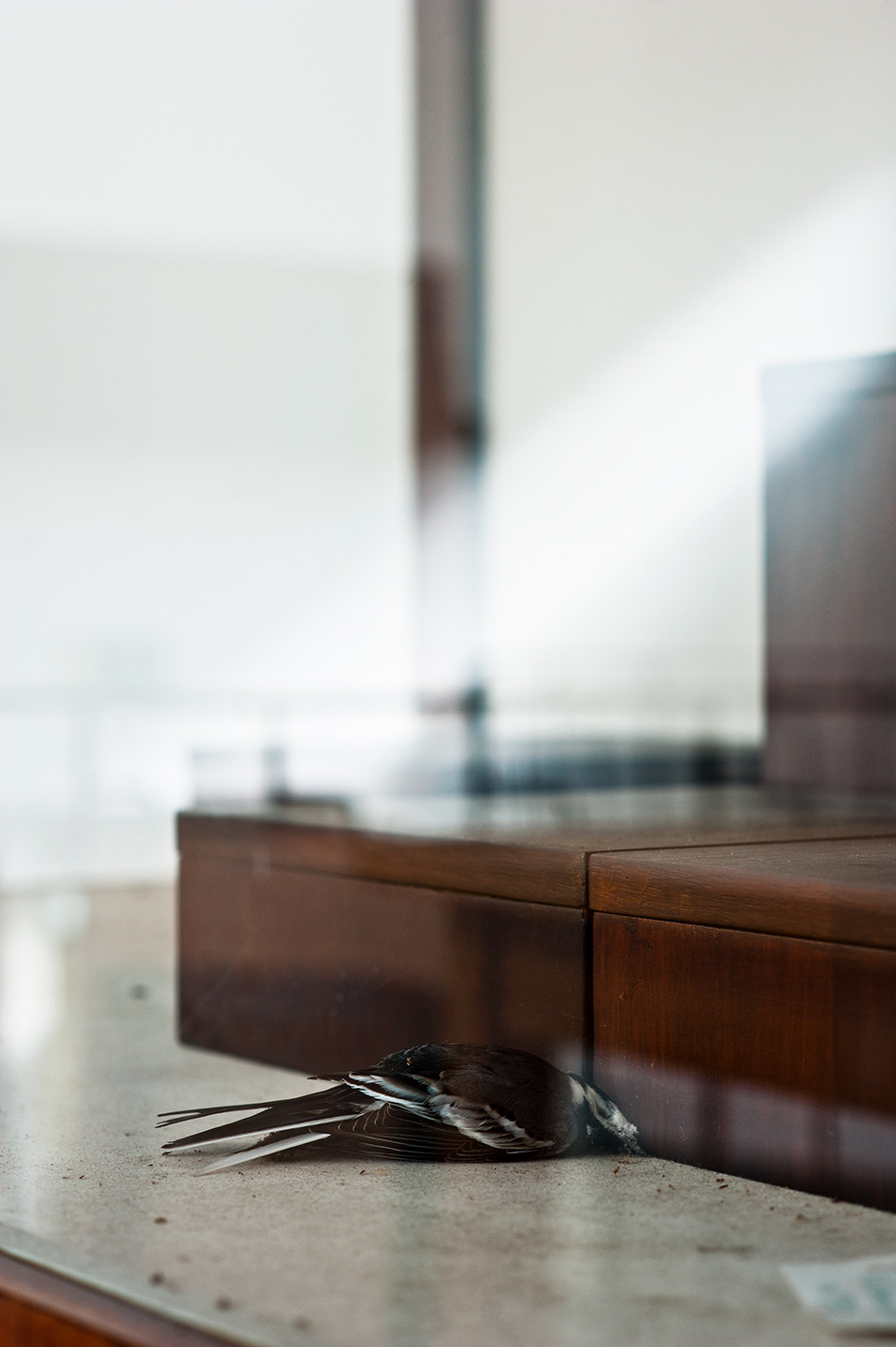 WAECHTERSBACHER KERAMIK